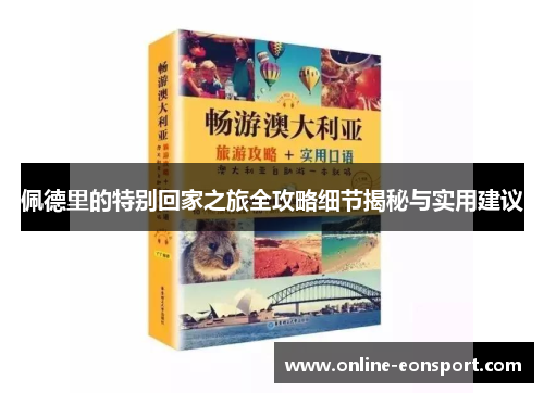 佩德里的特别回家之旅全攻略细节揭秘与实用建议