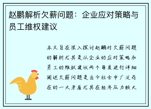 赵鹏解析欠薪问题：企业应对策略与员工维权建议