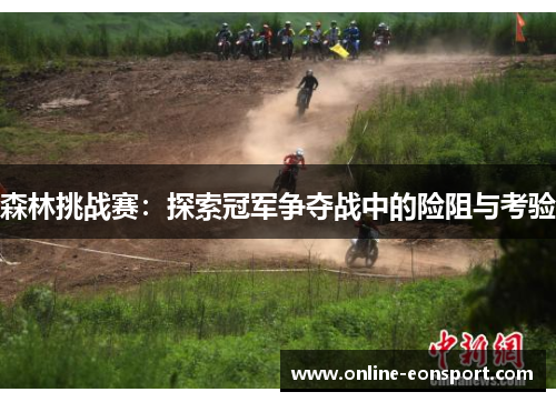 森林挑战赛：探索冠军争夺战中的险阻与考验